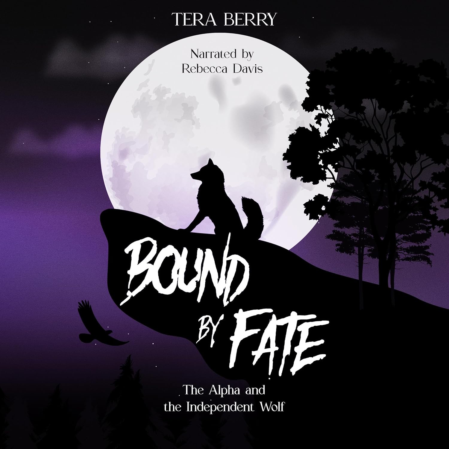 Cover of Bound by Fate